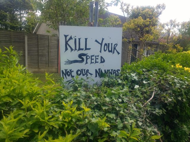 Kill You Speed Not Our Nanas